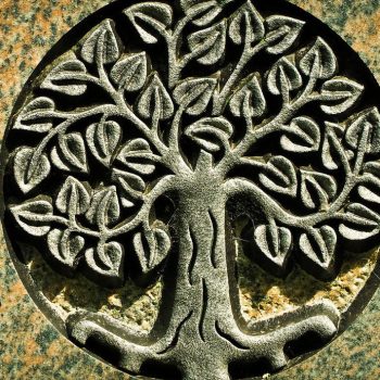 Quelle est la signification de l'arbre de vie ?